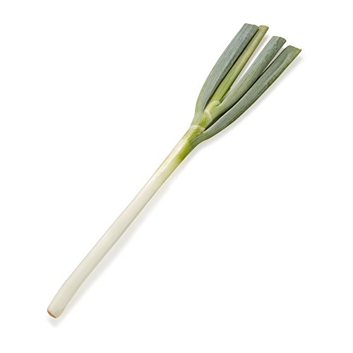 国内産 長ねぎ 1本のサムネイル