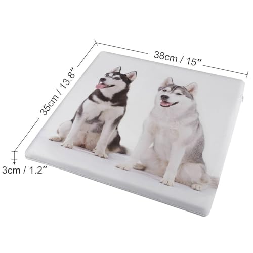 Cojín cuadrado Husky Dogs para sillas de oficina y salones confortables 3