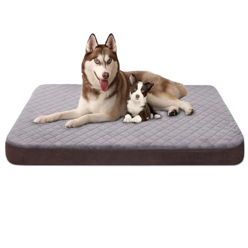 Dog Beds for Great Danes The 15 best products compared Wild Explained