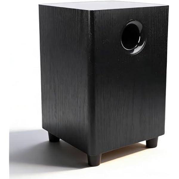 SENECESLI Subwoofer Pasywny 6,5 Cala, Subwoofer Domowego Audio o Mocy 100 W z obudową MDF zapewniającą Wzmocnione Basy, Kompatybilny z Systemem Kina Domowego