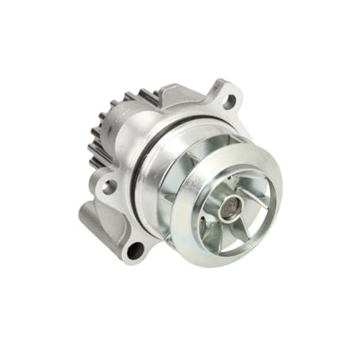 Hepu P662 Wasserpumpe