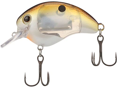 Shimano Sxy G Shad World Rush Flash Boost Crankbait (WR56FSGS) Fishing