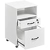 Topeakmart File Cabinet 2-Drawer and 1-Open-Shelf Rolling Filing Storage Printer Stand with Wheels Lock for A4/ Legal/Letter 16 L16 W 26 H White