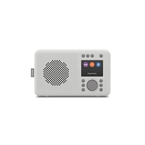 Pure Elan DAB+ tragbares DAB+ Radio mit Bluetooth 5.0 (DAB/DAB+ & UKW Radio, TFT Farbdisplay, 20 Senderspeicher, Preset-Tasten, 3.5mm Klinkenstecker, Batteriebetrieb möglich, USB) Stone Grau