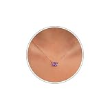Sistble Birthday Gifts for Women, February Birthstone Necklace 14K Gold Plated Amethyst Necklace 2 Square Birth Stone Wife Birthday Gift Ideas Anniversary Jewelry