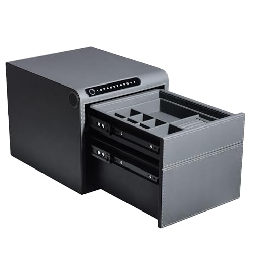 VALINIRT Biometric Jewelry Safe