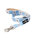 Lucy & Co. Bumbling Around Dog Leash, Durable Matching Dog Lead with Heavy Duty Hardware, Large