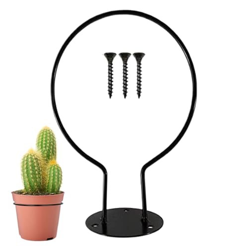 �o�X�P�b�g�{�[���z���_�[ �E�H�[���}�E���g �Ǌ|���� �X�|�[�c�{�[�����[,������ �X�g���[�W ���b�N ���[ �I �f�B�X�v���C���b�N - �{�[�� �E�H�[�� �}�E���g �Ǌ|�� ���t�� ���� �ݒu - �X�|�[�c���[�� �z�[���W�� �Q�� �K���[�W �����p