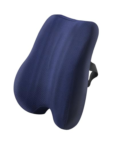 SEESUNO Lumbar Support Cushion, Memory Foam Back Support for Office Chair Car Seat