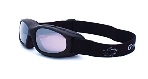 Guard-Dogs, Aggressive Eyewear Evader 1 Matte Black Plum