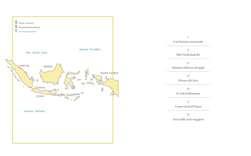 Indonesia. Bali, Sumatra, Giava, Borneo, Nuova Guinea. Paesi Del Mondo - 12