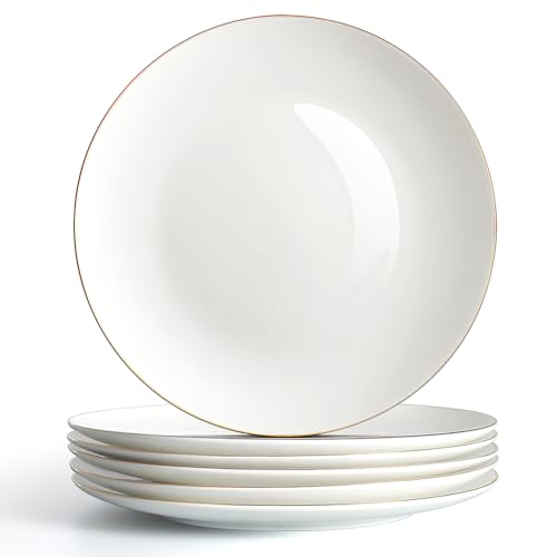 6 Pack Ceramic Salad Plates, 8 Inch Porcelain Small Plates for Appetizer, Cake, Snack, Bread – Dishwasher & Microwave Safe, Lead-Free Non-Toxic Dinnerware Set (Phnom Penh)