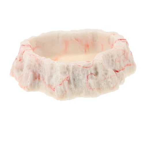 BESPORTBLE ペット用給餌ボウル 亀の餌 カメ 爬虫類の餌入れ トカゲ戦車 亀のアクセサリー テラリウムの餌入れ 樹脂製爬虫類用餌入れ テラリウムフードボウル トカゲのフードボウル 爬虫類の餌皿