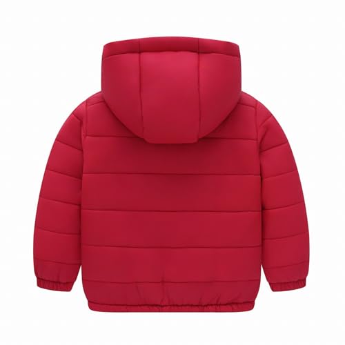 wodceeke Toddler Boys Girls Puffer Jacket Down Winter Coats with Hood Kids Lightweight Hooded Padded Outwear 1-10 Years2