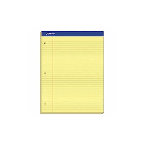 Ampad Evidence Dual Pad, Narrow/Margin Ruled, Size 8.5 x 11.75 Inches, Canary Paper, 100 Sheets Per Pad (20-246),