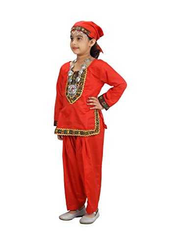 Image of BookMyCostume Kashmiri Indian State Fancy Dress Costume for Girls and Females 14 years /Adult S