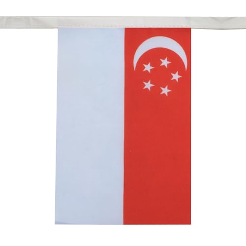 Image of AZ FLAG Singapore 6 meters BUNTING Flag 20 flags 9'' x 6'' - Singaporean STRING flags 15 x 21 cm