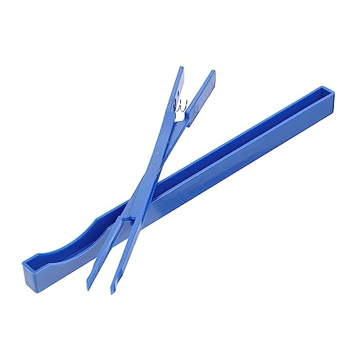 Vaguelly 1s[V[vtFbVisAmpjbg~Nbv 