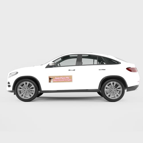 Image of Just Pass Me This is As Good As It gets Bumper Sticker Just Pass Me Bumper Sticker Go Around Bad Driver New Driver Old Cute Cat Meme [11.5 inchx3 inch]
