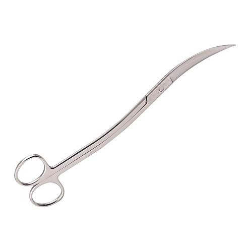Faneli 25 cm Edelstahl Gebogene Spitze Schere für Aquarium Wasserpflanzen, Silber