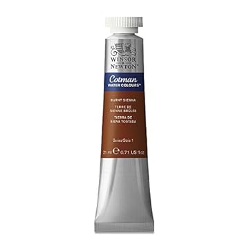 Winsor & Newton Cotman 21ml Water Colour Tube - Burnt Sienna