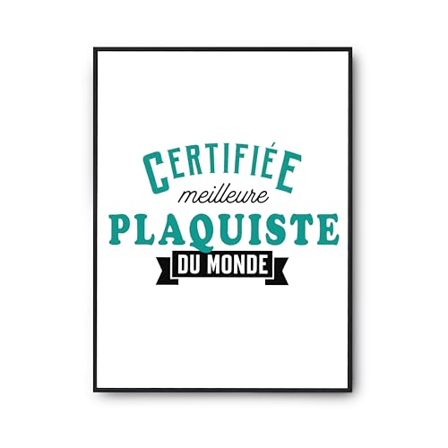 Poster meilleure plaquiste du monde imprimé en France pour cadeau humour