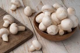 ND PLANT BAZAR button mushroom spawn seeds (200 gm) 1 packet(4580 (B0CP2DCSWP) Amazon Price History, Amazon Price Tracker