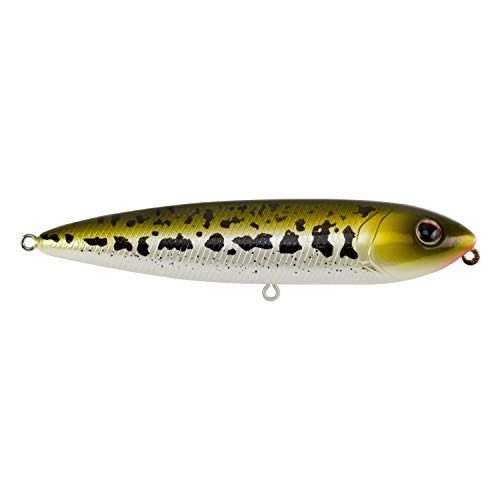 Best Water Bait