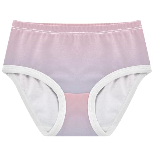 Joisal Toddler Girls Underwear 2t Cotton Little Girl Panties Florals Undies Kids Briefs Blush Pink Light Blue Gradient
