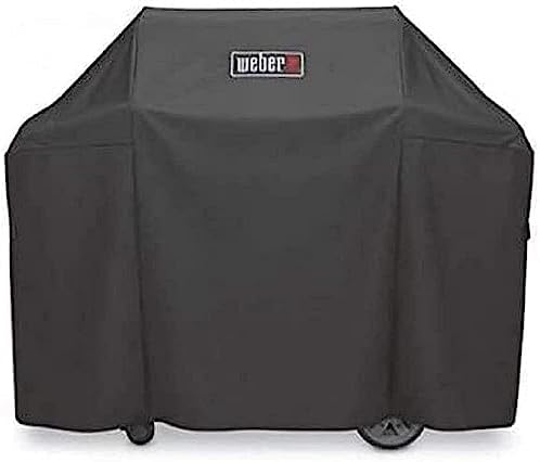 Rôtissoire Barbecue Weber Genesis II 2 Et 3 Brûleurs Weber