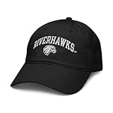Northeastern State RiverHawks Icon Officially Licensed Adjustable Baseball Hat