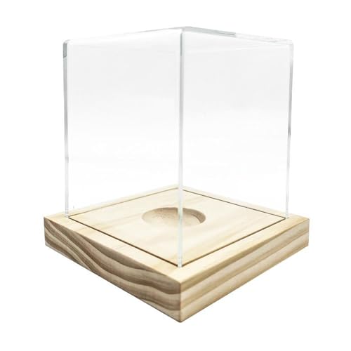 Vitrina de acrílico transparente con base de madera, caja de almacenamiento a prueba de polvo para colección de sóftbol y decoración del hogar, vitrina de béisbol con soporte de madera