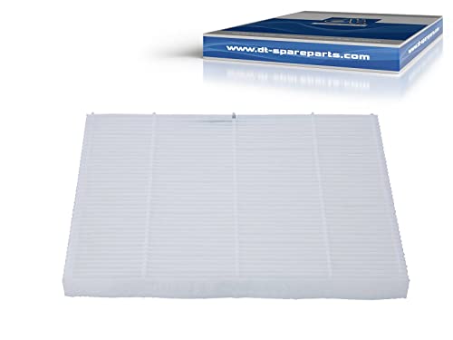 Dt Spare Parts Filtro Dell'Aria Cabina 2.76118 Per Camion