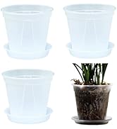 Amazon.co.jp: East Leaf スリット鉢 植木鉢 透明 プランター