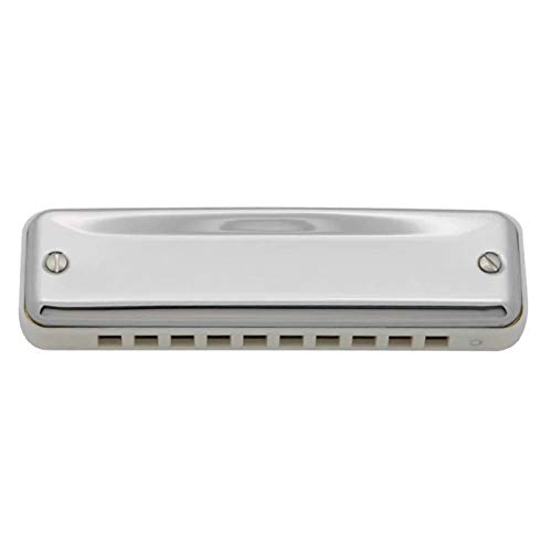 KIRANDIE Harmonica diatonique 10 Trous Blues Harp Bouche Organ ABS clé de C Harmonica Instruments de Musique (Color… - Les Beatles, Paul McCartney, John Lennon, RIngo Starr, George Harrison KIRANDIE Harmonica diatonique 10 Trous Blues Harp Bouche Organ ABS clé de C Harmonica Instruments de Musique (Color… – Image 3