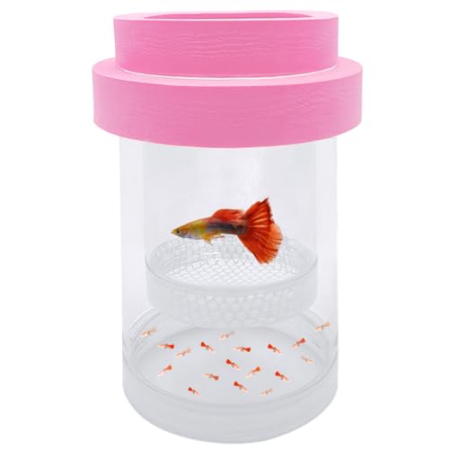 Image of Floating Fish Breeding Isolation Box for Aquarium Tank Plastic Mesh Hatchery Incubator Breeder Box for Baby Fish Betta Shrimp Clownfish Guppy (Pink, Small)