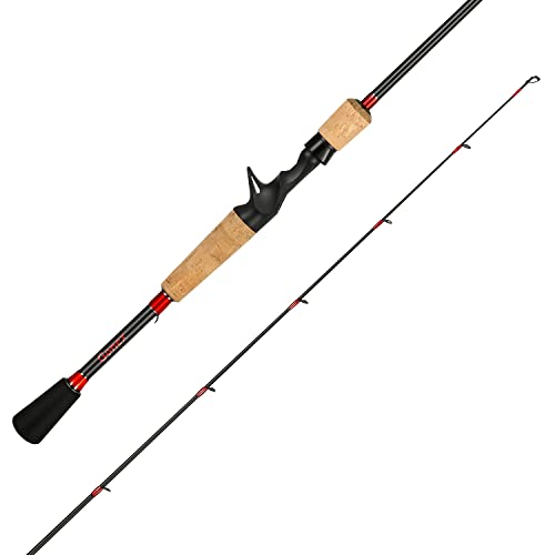 Top 10 Best 2 Piece Casting Rod Reviews & Buying Guide Katynel