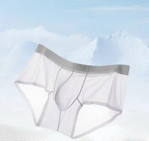 Men's Panties Sexy Sheer See Through Ultra-thin Underwear, Ice Silk U Bulge Pouch Male Breathable Underpants2