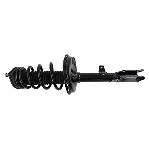 Image of TRQ Rear Strut and Spring Assembly Set