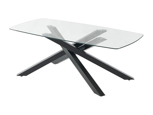 Vente-unique - Table à Manger 8 Personnes en Verre trempé et métal Noir - Transparent - METRILIA