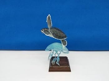 Amazon | 奇譚クラブ ネイチャーテクニカラー 日本のカメ