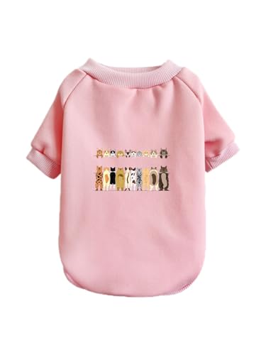  ĂL̊ƌ ybg hbOEFA ̕ L ybgEFA h _炩 іh~   t@bV U ybgpi