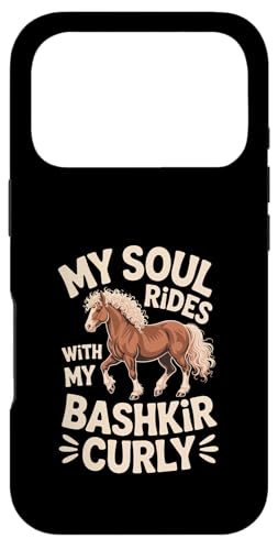 }CE\EECYEEBYE}CEoVL[EJ[[ X}zP[X iPhone 17 Pro p