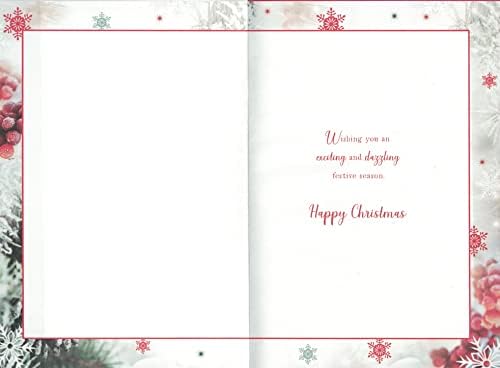 TO ALL THE FAMILY CHRISTMAS CARD. TRADITIONAL XMAS DESIGN.
