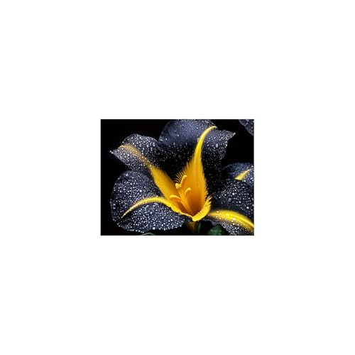 Tableau mural tulipe noire jaune TERUEA 80x120cm sans cadre