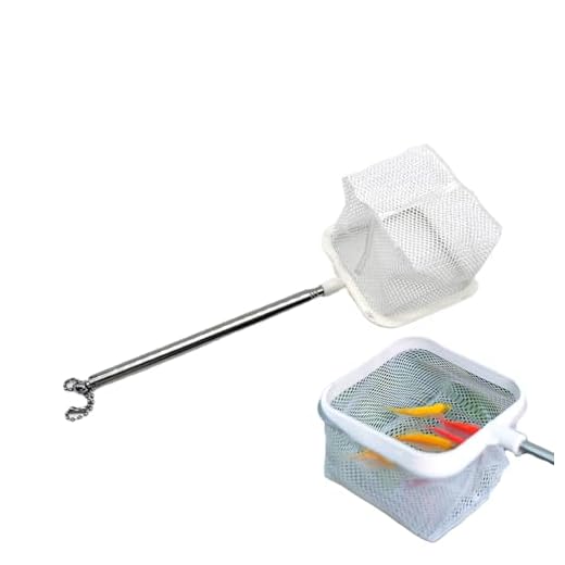 Red De Captura De Pesca,Red De Pesca Con Mosca | Red De Pesca Retráctil De Mango Largo Telescópica Para Peces, Camarones, Truchas, Langostas Y Bagres Qurygin