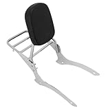 QFJFBGGH Motorrad Gepäckträger Motorrad Gepäckträger Unterstützung Abnehmbare Beifahrer Rückenlehne Sissy Bar Für V-Star XVS1100 Für Drag Für Star DS1100 Custom 1999-UP Motorrad-Gepäckregal