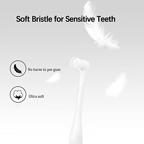 Kit de soins dentaires pour chiot et chaton lors de la routine bien-être