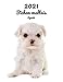 2021 Bichon maltais Agenda: A4, 123 Pages | 14 Mois | Planificateur & Organiseur | Calendrier | Une double page par semaine | Journal | Chien | En Francais