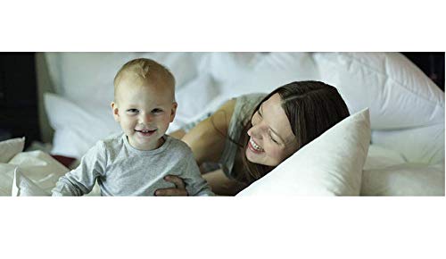 Down Etc Down Alternative Aquaplush Luxury Warmth And Comfort Bedding, Full, White #TOP6